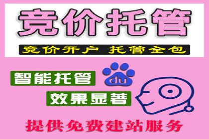 充值返点案例分析：成功案例解读