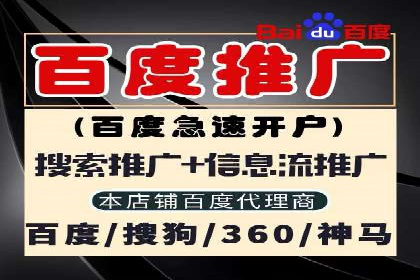 案例揭秘：SEM主管如何应对广告投放中的挑战